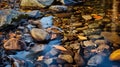 Autumn Stream: A Captivating Display Of Colors And Textures