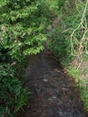 A photo of a stream of water through Knighton Park Wigston Leicestershire, UK