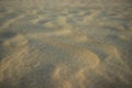 Photo of a stretch of sand on the beach