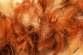 Reddish brown feather duster detail texture