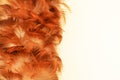 Reddish brown feather duster texture