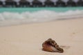 Photo of a stunning view of a beach in the Maldives. Paradise island