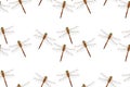 Photo stylized dragonfly isolated on white background. Seamless pattern