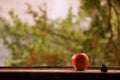 Background. Summer. Butterfly and fly next to a red apple. Royalty Free Stock Photo