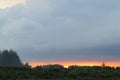 photo of the sunset sky and thick clouds, and the swamp on the edge of the forest Royalty Free Stock Photo