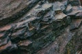 Photo of the surface of a textured rock fault