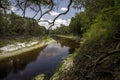 Suwanee River on a Sunny Afternoon