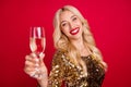 Photo of sweet adorable young lady wear gold outfit cheers champagne smiling isolated red color background