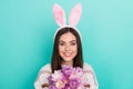 Photo of sweet shiny woman wear striped sweater bunny headband holding pink bouquet isolated turquoise color background Royalty Free Stock Photo