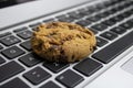Cookie On The Keyboard