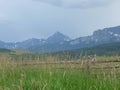 Wooden fence frames Mount Sneffels