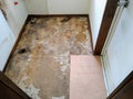 In the process of replacing the bathroom floor