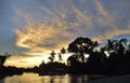 Colorful clouds at dawn by a swampy shore with thick foliage undergrowth Royalty Free Stock Photo