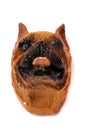 A dog doggie head fridge magnet white backdrop