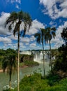 Iguazu Waterfalls Jungle Argentina Brazil Royalty Free Stock Photo