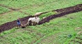 A human life with farm photography,..