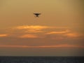 A drone hovering in the air