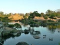 A Japanese style garden park with a shallow pond with some mandarin wood ducks on it