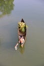 Farm photography with river view