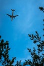 Photography of a airplane in the sky taken under the tree