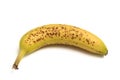 An overly ripe yellow banana with several many brown spots Royalty Free Stock Photo