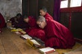 Bhutanese novice monks learn the Buddhism text in early morning , Bhutan