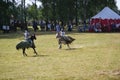 Grunwald, Poland - 2009-07-18: Mounted knights Royalty Free Stock Photo