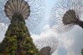 Singapore Gardens by the Bay Supertree structures against the light blue sky