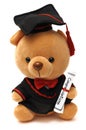 A soft toy teddy bear wearing a graduation gown Royalty Free Stock Photo