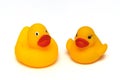 Two yellow rubber duckies against a white backdrop Royalty Free Stock Photo