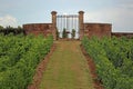 Vineyard and wall with gate