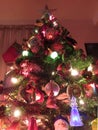 Tall Christmas Tree in December