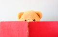 Photo of teddy bear reading book. Royalty Free Stock Photo