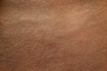 Texture of brown raw leather background Royalty Free Stock Photo