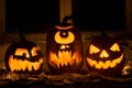Photo of three pumpkins for Halloween. Royalty Free Stock Photo