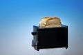 Photo of Toaster with White Bread