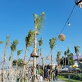 Photo of tourist walking down Aloha Beach