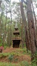 Photo of a tower made of wood in the middle of a pine forest