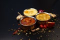 Photo of traditional indian food with spices Royalty Free Stock Photo