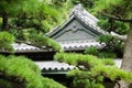 Traditional japanese house in bamboo forest Royalty Free Stock Photo