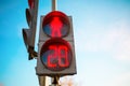 Photo of traffic light with red man, close-up on background of blue sky. Royalty Free Stock Photo