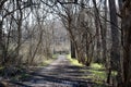 Trails in White Clay Creek in Pennsylvania. Royalty Free Stock Photo