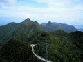 Photo of tropical vegetation in the mountains of the Islands of Malaysia