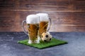 Photo of two glasses of beer, soccer ball on green grass Royalty Free Stock Photo