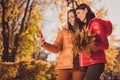 Photo of two people girls bloggers fellows enjoy weekend walk stroll fall sunset park make selfie smartphone hold Royalty Free Stock Photo