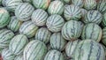 Photo of types of round watermelons for sale