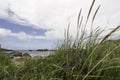 The photo of typical norwegian east coast shoreline