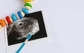Photo of ultrasound of the first weeks of pregnancy, positive pregnancy test and wooden baby toy on a white background with copy s