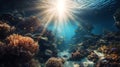 under water view coral reef and sun beam Royalty Free Stock Photo