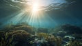 underwater view coral reef with sun beam Royalty Free Stock Photo